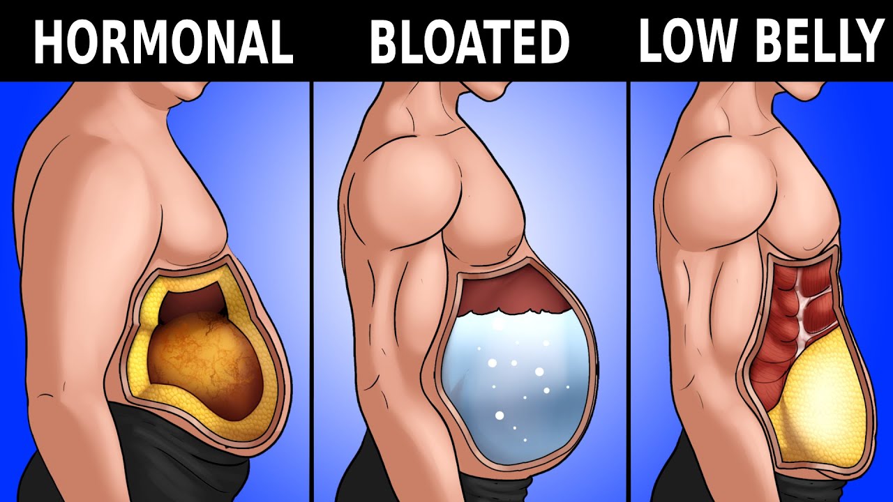 Understanding Why Belly Fat Is Common After 40 Understanding Why Belly Fat Is Common After 40