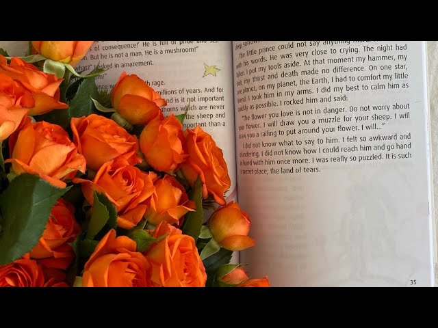 Vídeo relacionado con Romántica: La Salvajada de Zavier Blanch: (Novela Romántica)