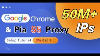 Google Chrome Proxy Setting Pia S5 Tutorial Guide! 3s to get IP port fast connection #ips #google