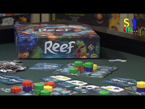 Spiel doch mal REEF! (Spiel doch mal...! - Folge 258)