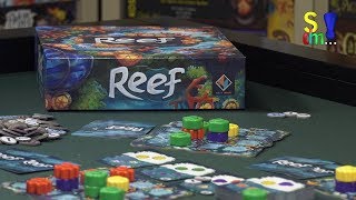 Video-Rezension: Reef