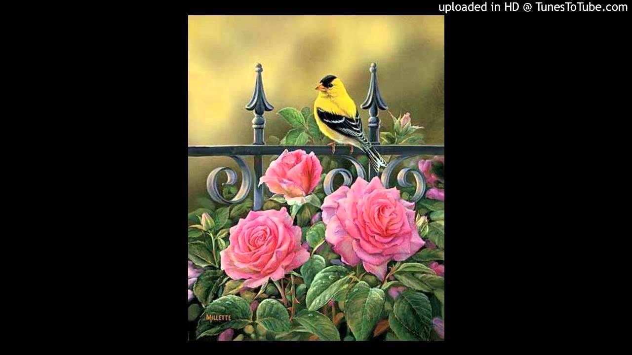 Today's Tango Is... Ay, Elena - Julio De Caro 02-09-1941