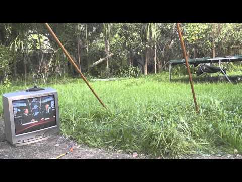 Garden grass powered TV set