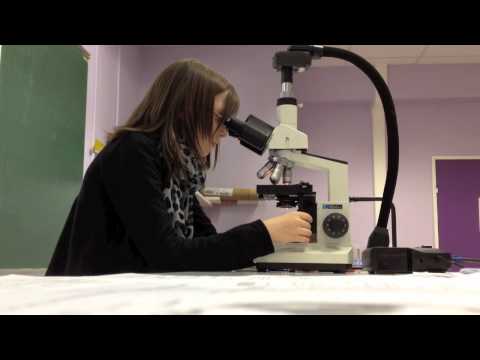 comment regler microscope