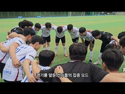 게시물