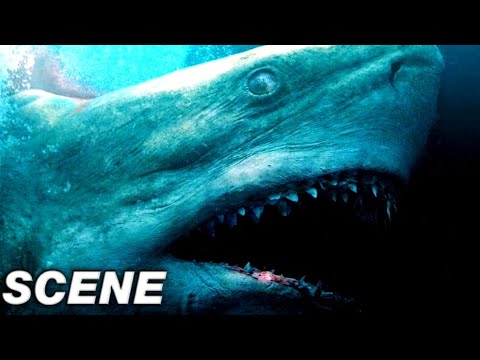 Killing the Megalodon Scene - The Meg (2018) Movie Clip
