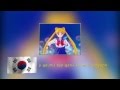 Sailor Moon intro in 11 languages, with lyrics. 