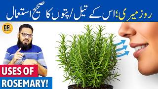 Download lagu Rosemary Ke Patte/Oil Ke Fayde | Rosemary Leaves/Oil Benefits & Uses | Dr. Ibrahim mp3