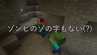 マイクラで怖いものランキング【街中で僕100人にアンケート】