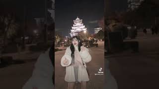 大阪城🏯✨ #tiktok #大阪城 #イルミネーション