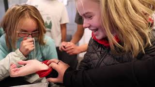 Bringing Life to Science