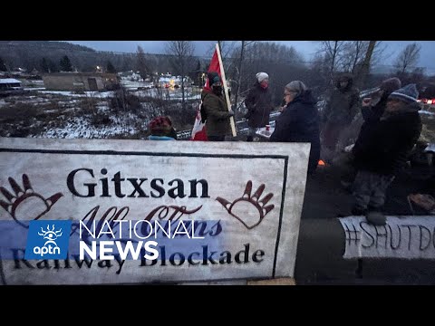 Twenty people arrested in two days of raids on Wet’suwet’en territory | APTN News
