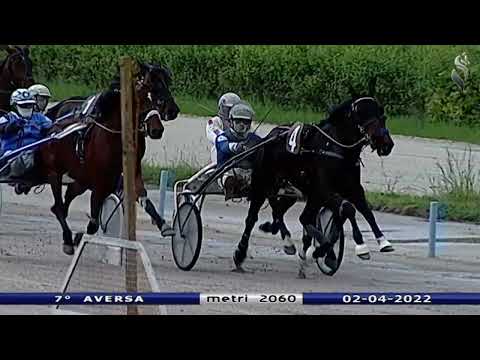 Aversa trotto 2 Aprile 2022 - 7° Corsa