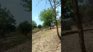 Residential Plot for Sale in Ramtek, Nagpur