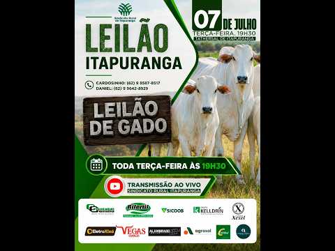 Leilão do Sindicato Rural de Itapuranga -07/07/2026 | Leilão ao Vivo - Leilão de Gado