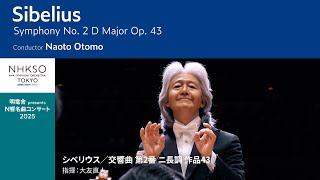 Download lagu Sibelius / Symphony No. 2 D Major Op. 43|Naoto Otomo - NHK Symphony Orchestra, Tokyo mp3 Download lagu Sibelius / Symphony No. 2 D Major Op. 43|Naoto Otomo - NHK Symphony Orchestra, Tokyo mp3