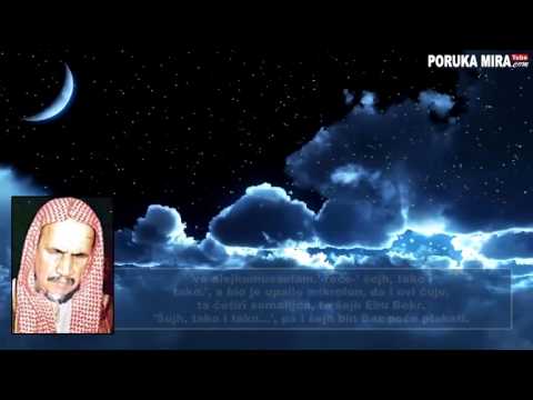 NEVJEROVATAN DOGAĐAJ SA BIN BAZOM!