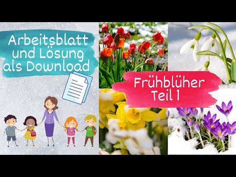 Frühblüher Teil 1 von 5, Sachunterricht Grundschule - mit Arbeitsblatt und Lösung