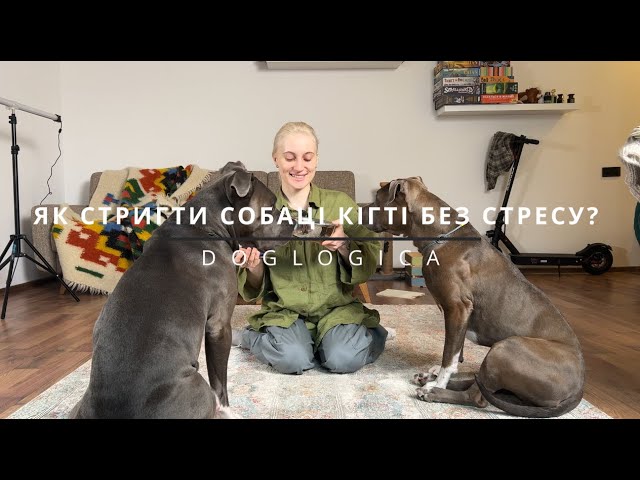 YouTube video preview