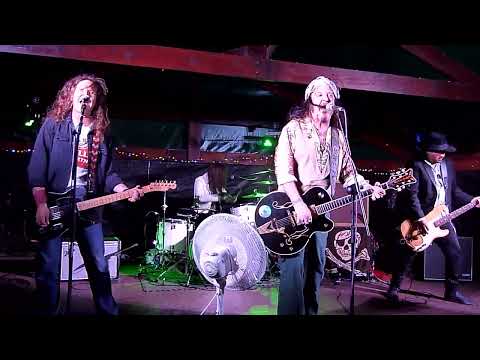 Tyla's Dogs D'Amour - Last Bandit