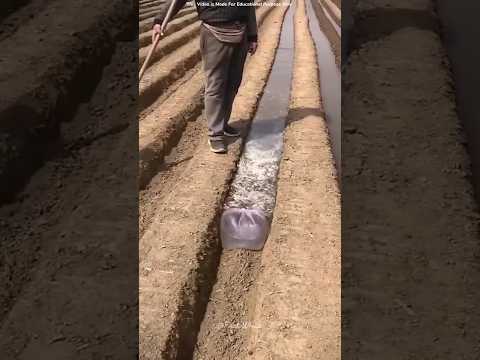 Smart Farming Trick