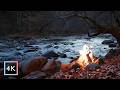 4 H Campfire By The River At Night Forest Life Sounds Owls Nature Sounds ASMR Nature 4K