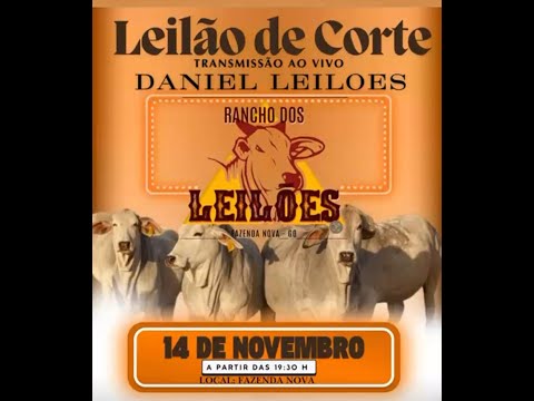 Fazenda Nova  - GO  14/11/2025