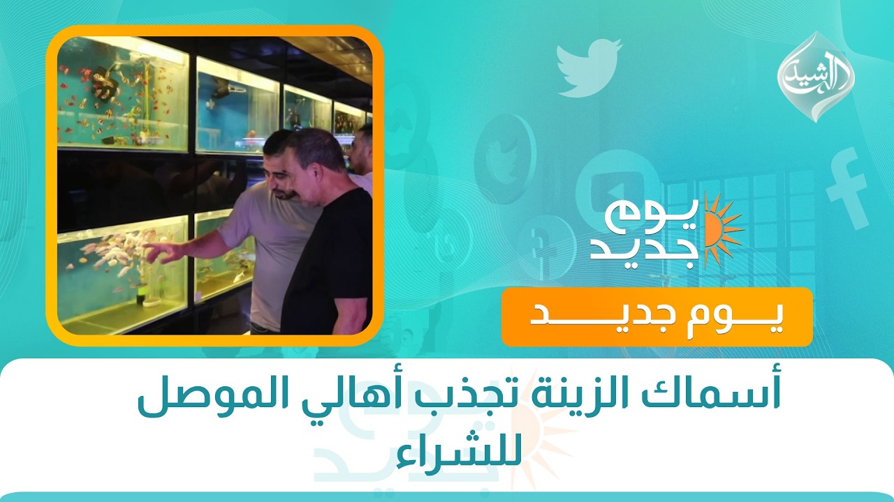 فيديو | أسماك الزينة تجذب أهالي الموصل للشراء