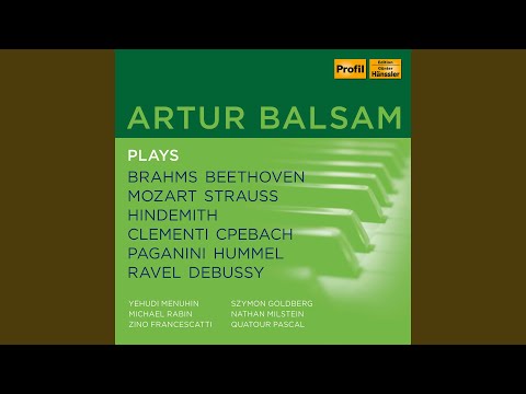 Piano Concerto in D Major Op. 61a: I. Allegro ma non troppo