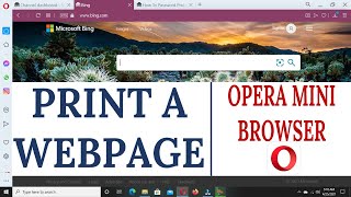 How To Print a Webpage I Web Browser Tutorials