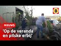Van vrieskou naar lente in week tijd, Brabant geniet | Omroep Brabant
