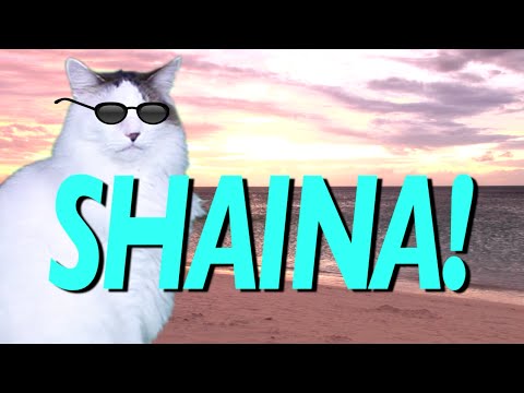 HAPPY BIRTHDAY SHAINA! - EPIC CAT Happy Birthday Song