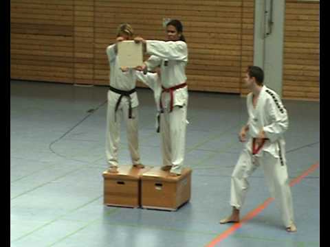 TaeKwonDo Bruchtest  Dan Prüfung Hessen 2009 Psyrobin