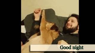 Sweet dreams-Adorable gifs  dogs