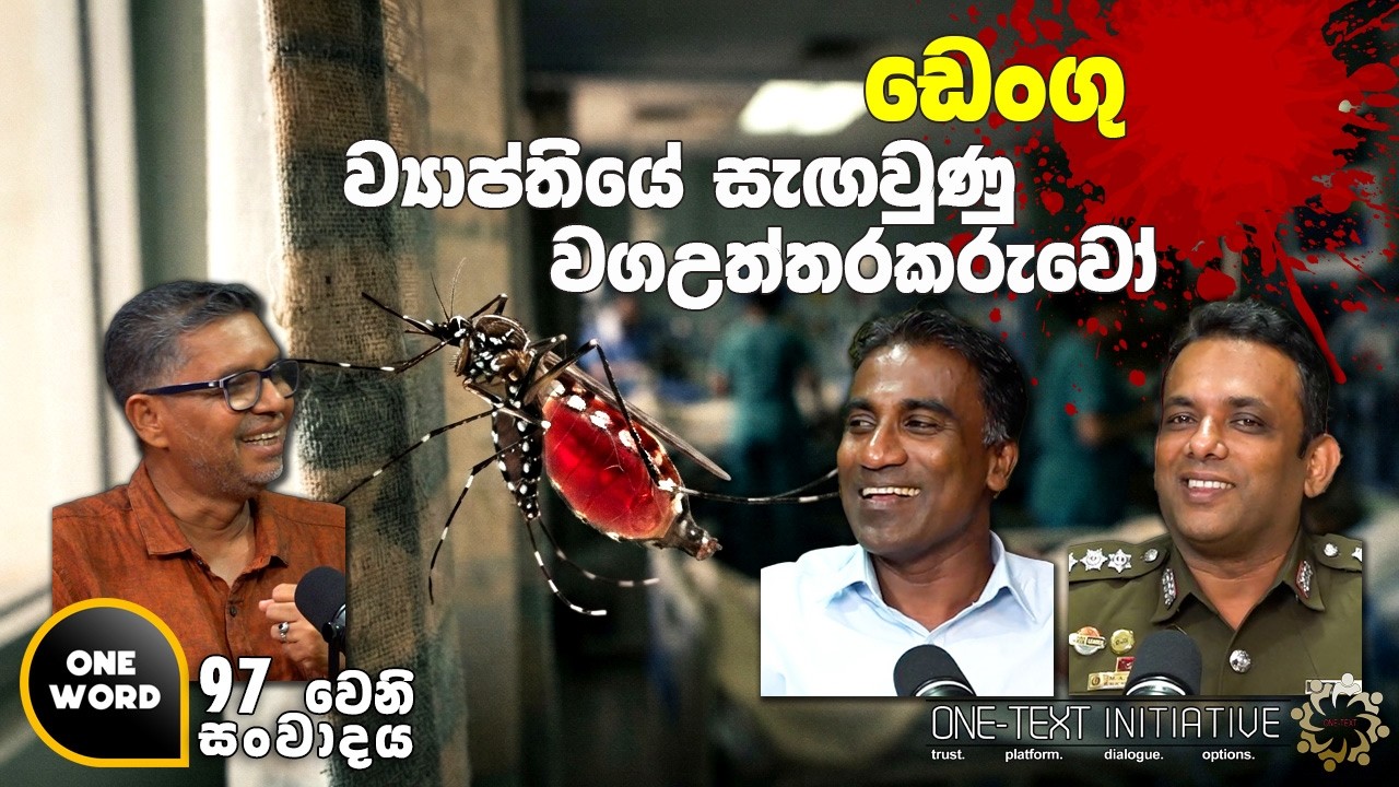 ඩෙංගු ව්‍යාප්තියේ සැඟවුණු වගඋත්තරකරුවෝ