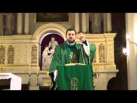 Homilia Księdza Carlosa z dnia 10.02.2013