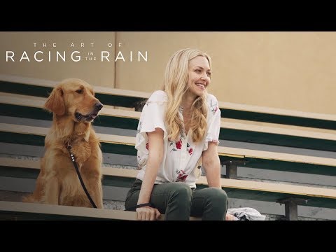 The Art of Racing in the Rain (TV Spot 'What is The Art of Racing in the Rain?')