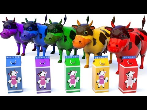 Learn Colors With Milk Cows for Kids