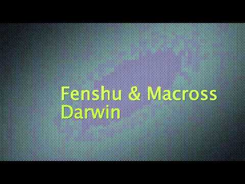 Fenshu & Macross - Darwin [Letzte Platte im 10/40]