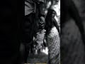 Oru Vilikkayi Kathorkkam Song Whatsappstatus Shorts Heartbeatsss708