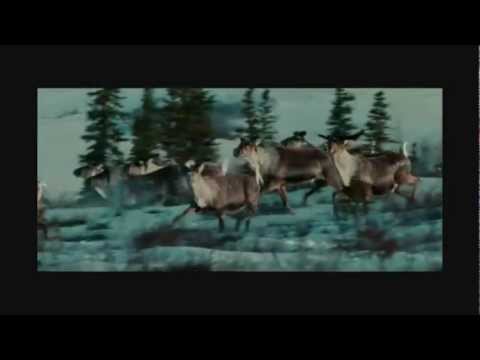 ENIGMA The Social Song ✦ B E A U T I F U L music