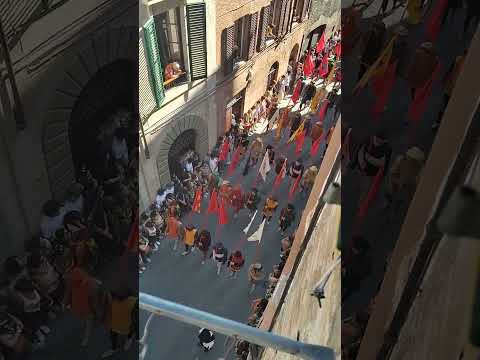 La Marcia del Palio di Siena, agosto 2023
