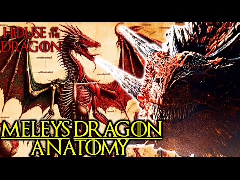 Meleys Dragon Anatomy Explored - Does This Dragon Have Supernatural Magical Abilities? - HOTD