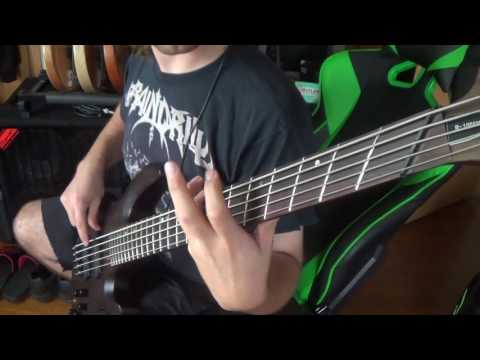 Cannibal Corpse - Skewered from ear to eye on bass guitar