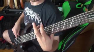 Cannibal Corpse - Skewered from ear to eye on bass guitar