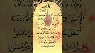 Download lagu Let's Listen and Learn Surah At-Teen with Finger Tracking! mp3