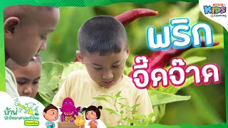 พริกจี๊ดจ๊าด | บ้านนักวิทยาศาสตร์น้อย
