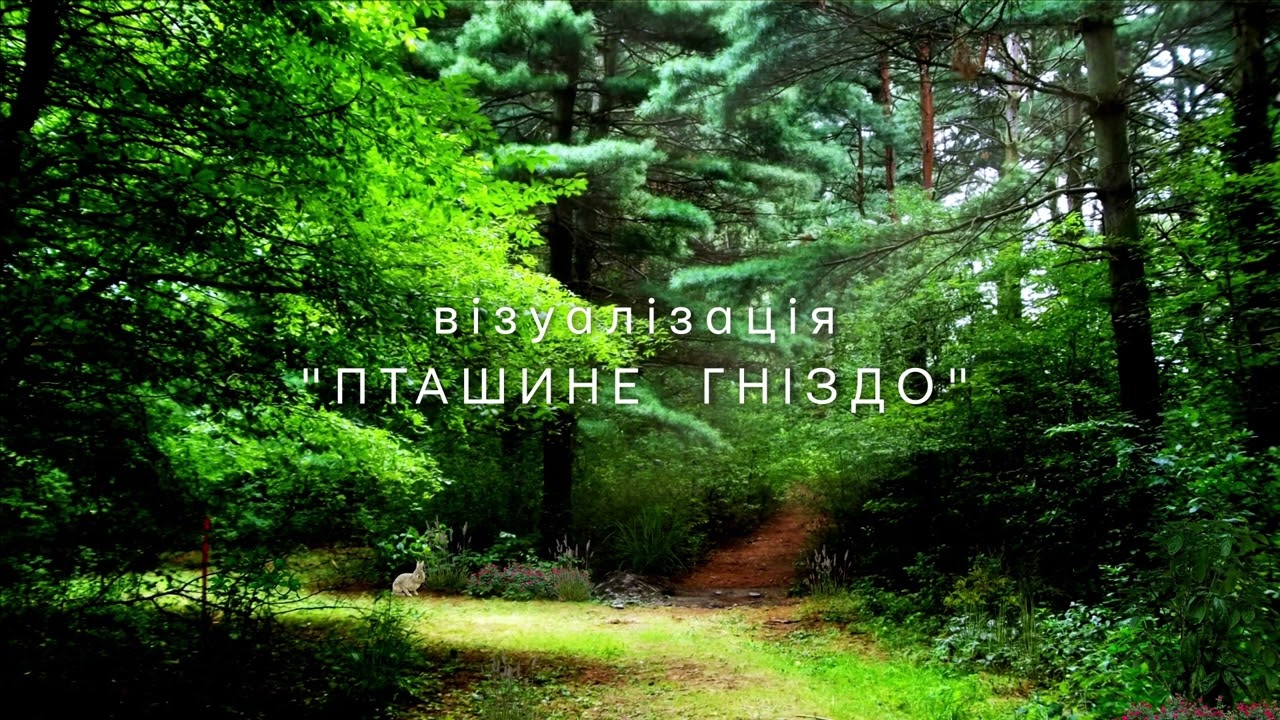 Творча візуалізація "Пташине гніздо"