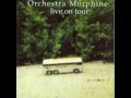 Orchestra Morphine - Cook 