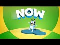 FANMADE Disney Junior UK Now Bluey Bumper